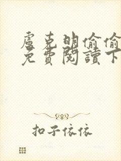 卢克明偷偷一笑免费阅读下载封面