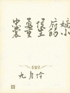 忠勇侯府嫡女云裳重生的小说