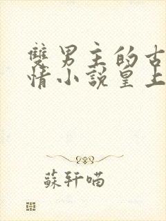 双男主的古代言情小说皇上和摄政王