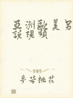 亚洲欧美另类小说视频