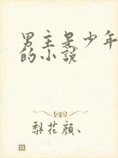 男主是少年将军的小说