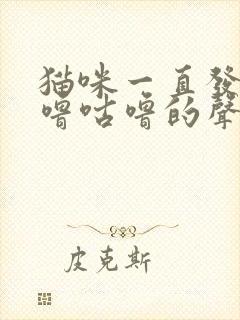 猫咪一直发出咕噜咕噜的声音