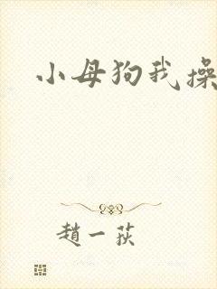 小母狗我操死你封面