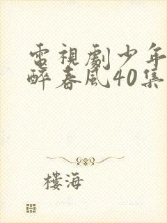 电视剧少年白马醉春风40集全