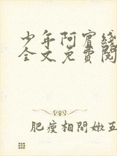 少年阿宾线阅读全文免费阅读最新封面