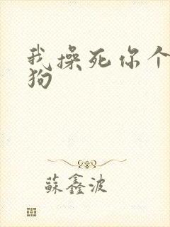 我操死你个骚母狗封面