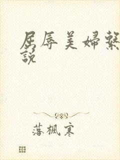 屈辱美妇系列小说封面