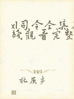 xl司令全集在线观看完整版高清