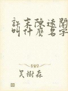 许末陈远闻小说叫什么名字封面