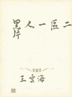 黑人一区二区毛片