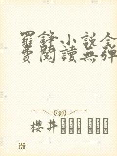 罗铮小说全文免费阅读无弹窗