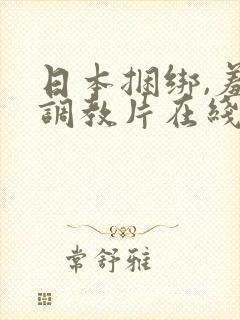 日本捆绑,羞耻调教片在线观看