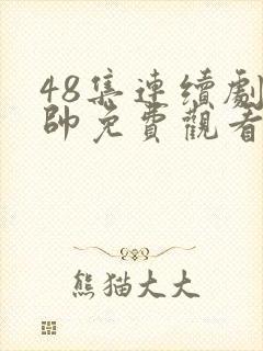 48集连续剧少帅免费观看高清封面