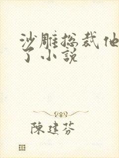 沙雕总裁他重生了小说封面