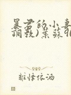 暴君的小妻奴(调教)叶苏90