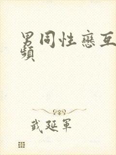 男同性恋互艹视频