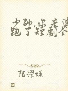 少帅,你老婆又跑了短剧全集封面