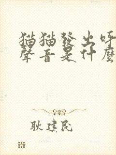 猫猫发出呼呼的声音是什么原因