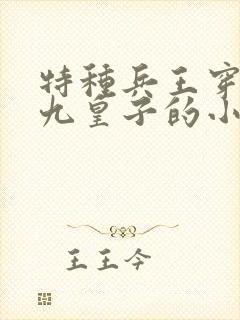 特种兵王穿越成九皇子的小说