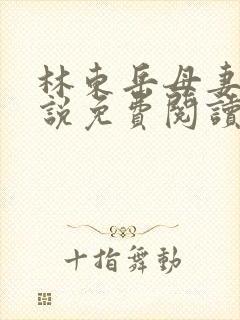 林东岳母妻子小说免费阅读全文无弹窗