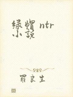 绿帽 ntr 小说