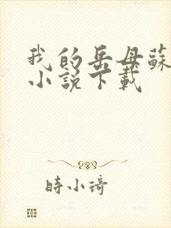 我的岳母苏沛真小说下载