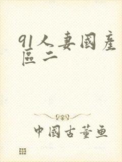 91人妻国产一区二