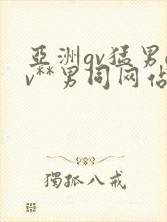 亚洲gv猛男gv**男同网站