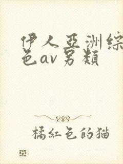 伊人亚洲综合网色av另类