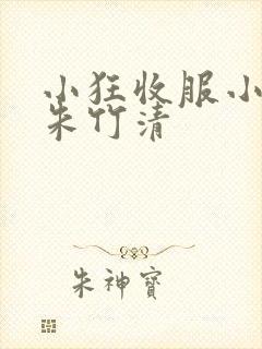 小狂收服小舞,朱竹清