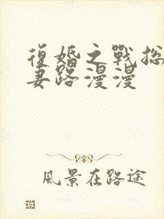 复婚之战总裁追妻路漫漫封面