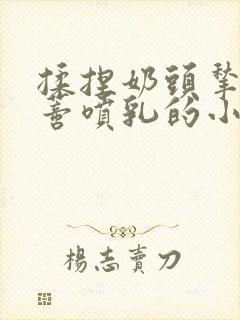 揉捏奶头揪扯阴蒂喷乳的小说