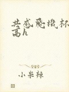 共感飞机杯嗯啊高h