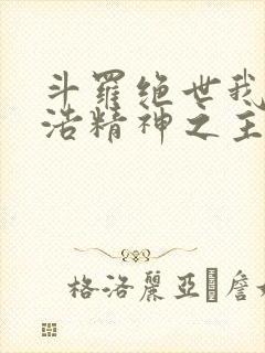 斗罗绝世我霍雨浩精神之主小说