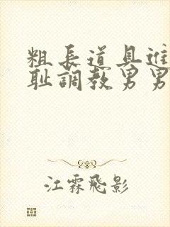 粗长道具进菊羞耻调教男男视频封面