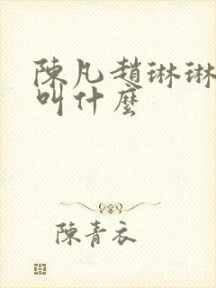 陈凡赵琳琳小说叫什么封面