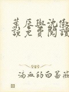 叶辰与沈傲雪小说免费阅读无弹窗封面