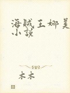 海贼王娜美同人小说封面