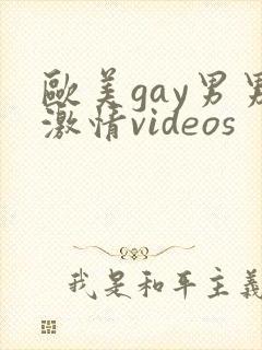 欧美gay男男激情videos