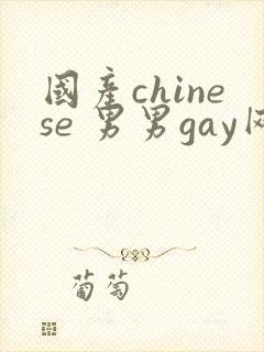 国产chinese 男男gay网站