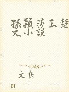 孙颖莎王楚钦人文小说