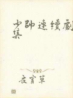 少帅连续剧48集