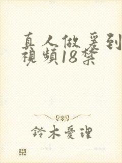 真人做爰到高潮视频18禁