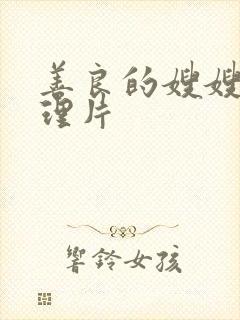 善良的嫂嫂 伦理片封面