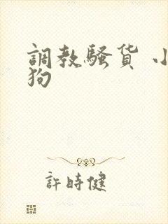 调教骚货 小母狗