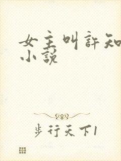 女主叫许知意的小说