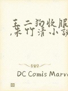 王二狗收服小舞,朱竹清小说封面