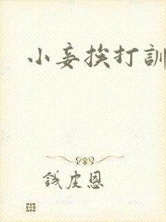 小妾挨打训诫文封面