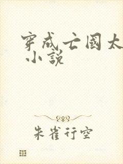 穿成亡国太子妃 小说