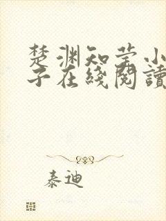 楚渊知莹小说生子在线阅读